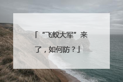 “飞蚁大军”来了，如何防？