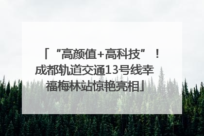 “高颜值+高科技”！成都轨道交通13号线幸福梅林站惊艳亮相