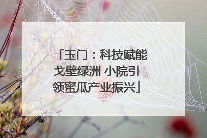 玉门：科技赋能戈壁绿洲 小院引领蜜瓜产业振兴