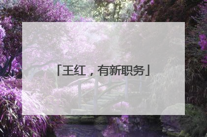 王红，有新职务