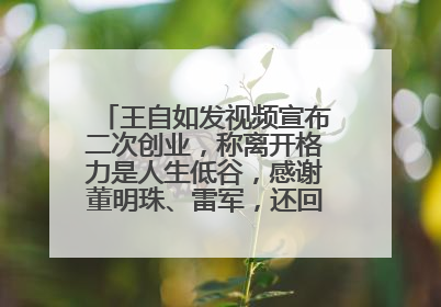 王自如发视频宣布二次创业，称离开格力是人生低谷，感谢董明珠、雷军，还回应了“工资条”：清楚自己要什么……