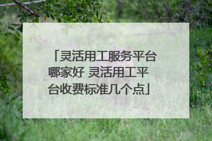 灵活用工服务平台哪家好 灵活用工平台收费标准几个点