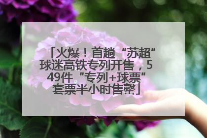 火爆！首趟“苏超”球迷高铁专列开售，549件“专列+球票”套票半小时售罄