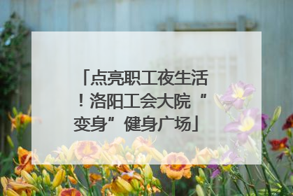 点亮职工夜生活！洛阳工会大院“变身”健身广场