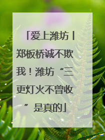 爱上潍坊丨郑板桥诚不欺我！潍坊“三更灯火不曾收”是真的