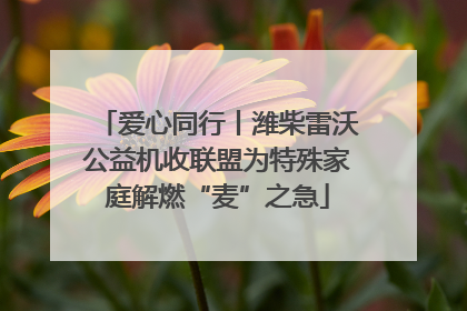 爱心同行丨潍柴雷沃公益机收联盟为特殊家庭解燃“麦”之急