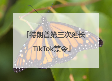 特朗普第三次延长TikTok禁令