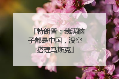特朗普：我满脑子都是中国，没空搭理马斯克