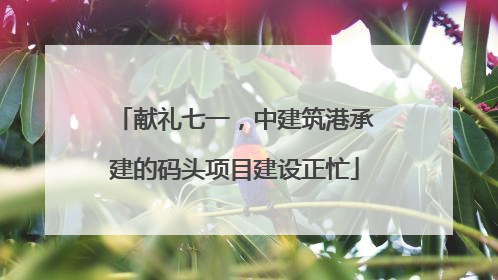献礼七一，中建筑港承建的码头项目建设正忙