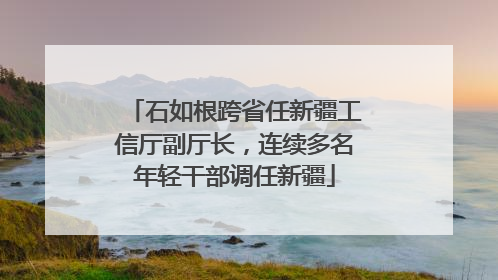 石如根跨省任新疆工信厅副厅长，连续多名年轻干部调任新疆