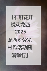 石斛花开 悦动龙西 2025龙西乡荧光村跑活动圆满举行