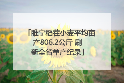 睢宁稻茬小麦平均亩产806.2公斤 刷新全省单产纪录