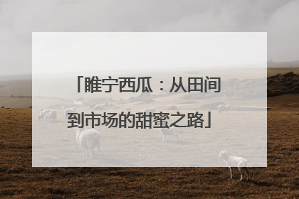 睢宁西瓜：从田间到市场的甜蜜之路