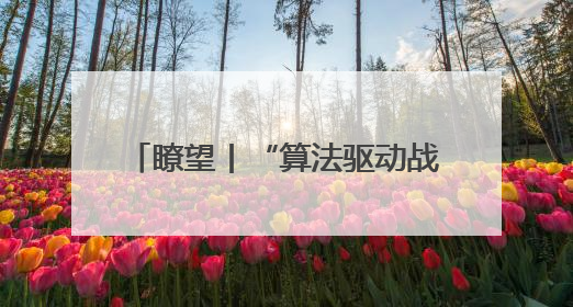 瞭望丨“算法驱动战争”的风险与困境
