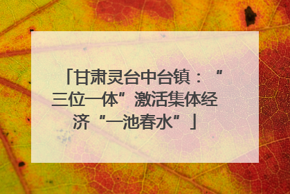 甘肃灵台中台镇：“三位一体”激活集体经济“一池春水”