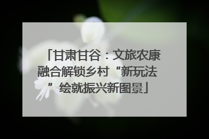 甘肃甘谷：文旅农康融合解锁乡村“新玩法”绘就振兴新图景