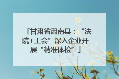 甘肃省肃南县：“法院+工会”深入企业开展“精准体检”