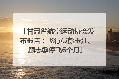 甘肃省航空运动协会发布报告：飞行员彭玉江、顾志敏停飞6个月