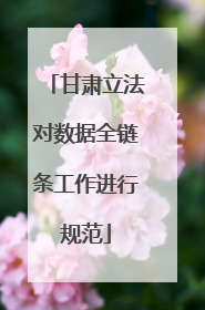 甘肃立法对数据全链条工作进行规范