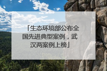 生态环境部公布全国先进典型案例，武汉两案例上榜