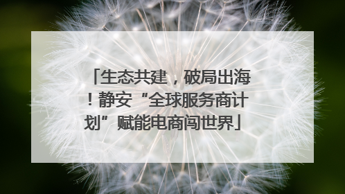 生态共建，破局出海！静安“全球服务商计划”赋能电商闯世界