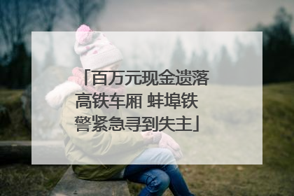 百万元现金遗落高铁车厢 蚌埠铁警紧急寻到失主