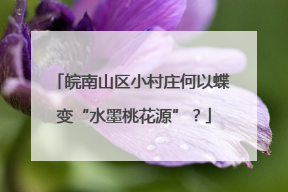 皖南山区小村庄何以蝶变“水墨桃花源”？