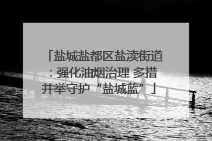 盐城盐都区盐渎街道：强化油烟治理 多措并举守护“盐城蓝”