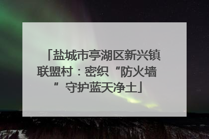 盐城市亭湖区新兴镇联盟村：密织“防火墙”守护蓝天净土