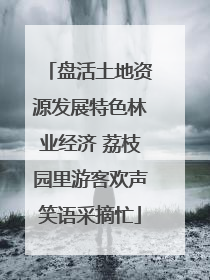 盘活土地资源发展特色林业经济 荔枝园里游客欢声笑语采摘忙