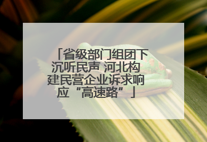 省级部门组团下沉听民声 河北构建民营企业诉求响应“高速路”