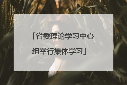 省委理论学习中心组举行集体学习