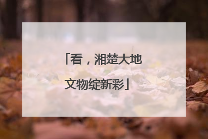 看，湘楚大地文物绽新彩