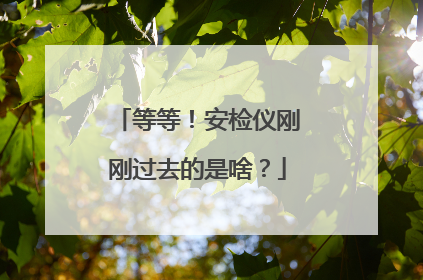 等等！安检仪刚刚过去的是啥？