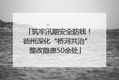 筑牢汛期安全防线！德州深化“桥河共治”整改隐患50余处
