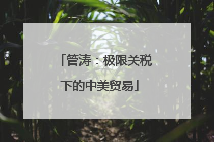 管涛：极限关税下的中美贸易