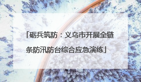 砺兵筑防：义乌市开展全链条防汛防台综合应急演练