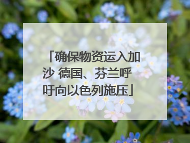 确保物资运入加沙 德国、芬兰呼吁向以色列施压