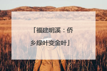 福建明溪：侨乡绿叶变金叶
