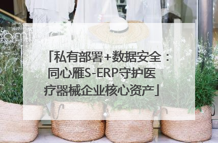 私有部署+数据安全：同心雁S-ERP守护医疗器械企业核心资产