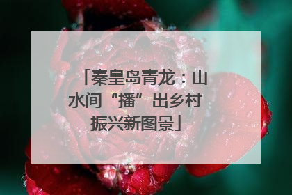 秦皇岛青龙：山水间“播”出乡村振兴新图景