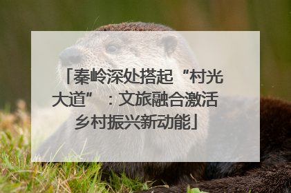 秦岭深处搭起“村光大道”：文旅融合激活乡村振兴新动能