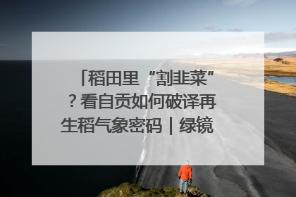 稻田里“割韭菜”？看自贡如何破译再生稻气象密码｜绿镜头·发现中国