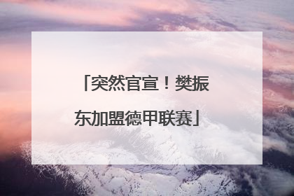 突然官宣！樊振东加盟德甲联赛