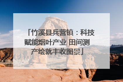 竹溪县兵营镇：科技赋能烟叶产业 田间测产绘就丰收图景