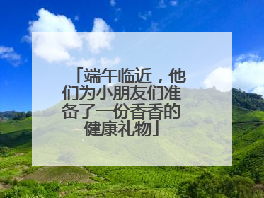 端午临近，他们为小朋友们准备了一份香香的健康礼物
