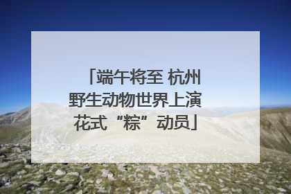 端午将至 杭州野生动物世界上演花式“粽”动员