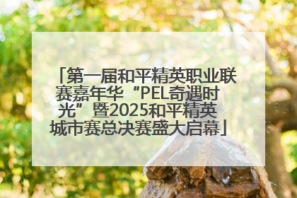 第一届和平精英职业联赛嘉年华“PEL奇遇时光”暨2025和平精英城市赛总决赛盛大启幕