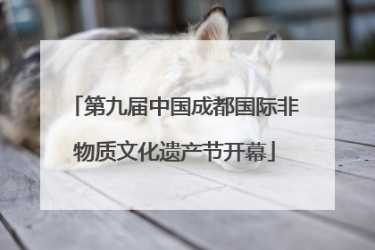 第九届中国成都国际非物质文化遗产节开幕