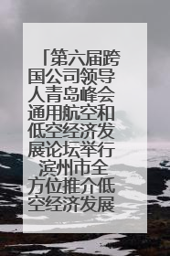 第六届跨国公司领导人青岛峰会通用航空和低空经济发展论坛举行 滨州市全方位推介低空经济发展优势
